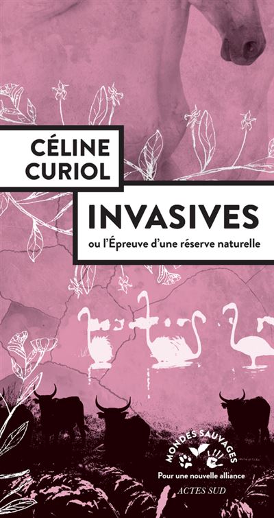 image : /upload/Année 2026/F2026_Curiol_Céline.invasives.jpg